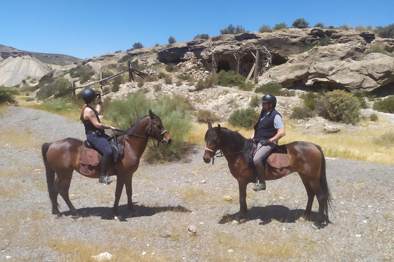 Almeria: Tabernas Desert Horse Riding for experienced ridersAlmeria: Tabernas Desert Horse Riding Tour for Advanced