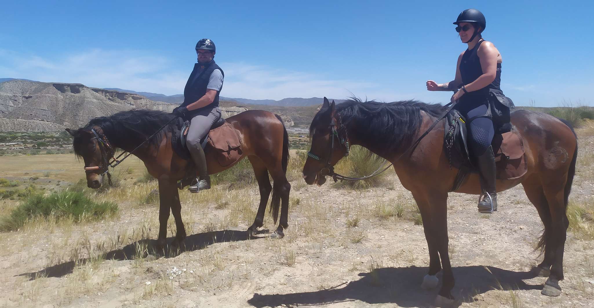 Almeria, Tabernas Desert Horse in equitazione per cavalieri esperti - Housity