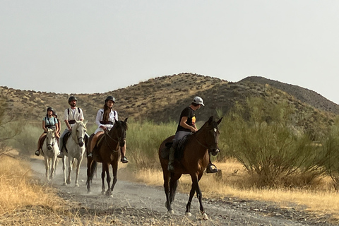 Almeria: équitation dans le désert de Tabernas pour cavaliers expérimentés