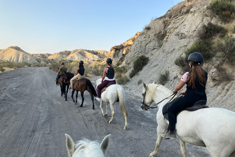 Almeria: Tabernas Wüstenausritt für erfahrene Reiter