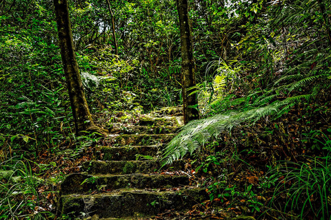 Desde Da Nang: Trekking en el Parque Nacional Bach MaTour en grupo (máximo 15 pax / grupo)