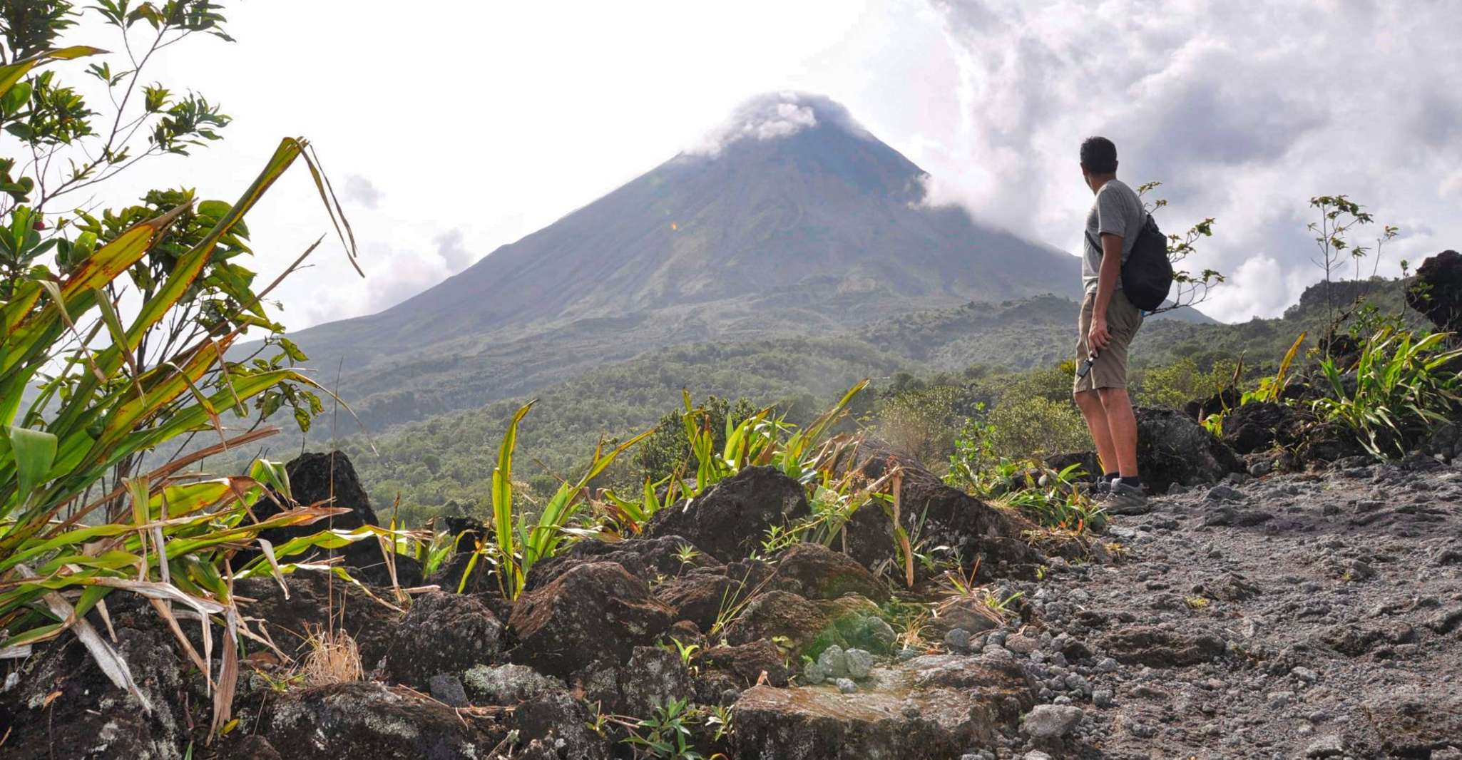 From La Fortuna, Hanging Bridges & Arenal Volcano with Lunch - Housity