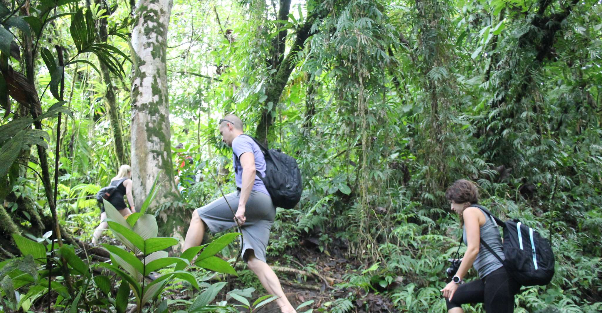 From La Fortuna, Hanging Bridges & Arenal Volcano with Lunch - Housity