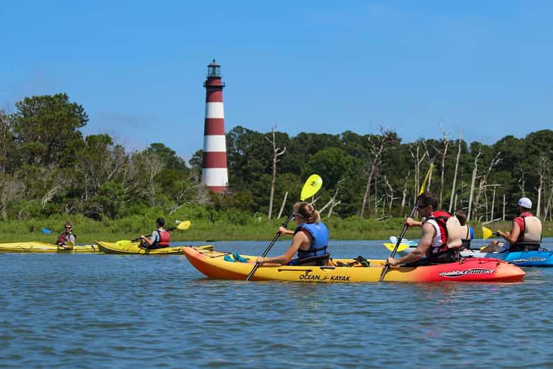 From Chincoteague Guided Kayak Tour to Assateague Island GetYourGuide