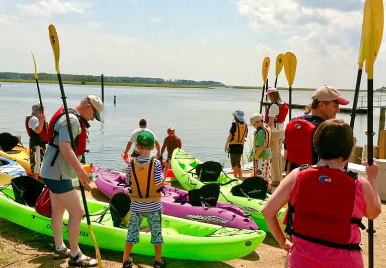 From Chincoteague Guided Kayak Tour to Assateague Island GetYourGuide