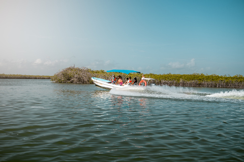 Depuis Tulum : Excursion en bateau à Sian Kaan avec déjeuner