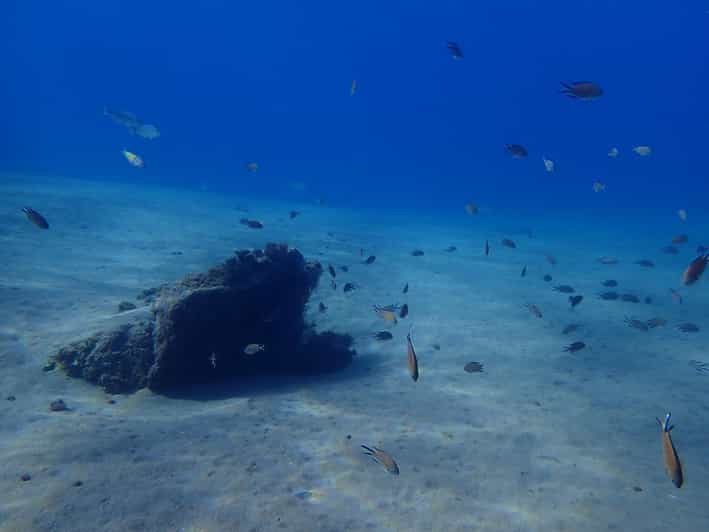 Puerto del Carmen viaggio di snorkeling con istruttore subacqueo