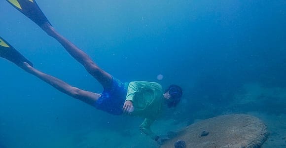 San Juan: small group guided snorkeling excursion