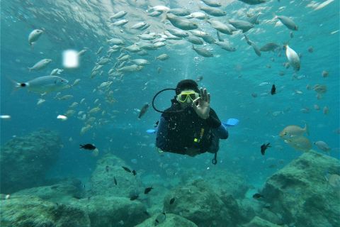 Antalya and Kemer: Full Day Scuba Diving Tour with Lunch