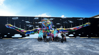 St. Petersburg, FL, Sightseeing & Murals Electric Bike Tour - Housity