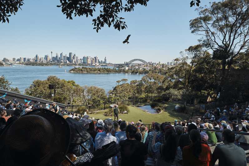 Sydney: Taronga Zoo & 24 oder 48 Stunden Sydney Harbour Hopper Pass ...