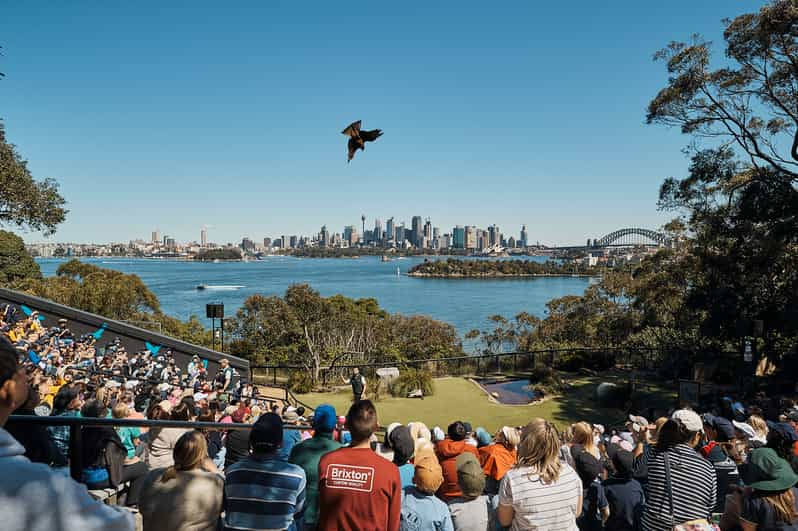 Sydney: Taronga Zoo En Sydney Harbour Hopper Pass Voor 24 Of 48 Uur ...