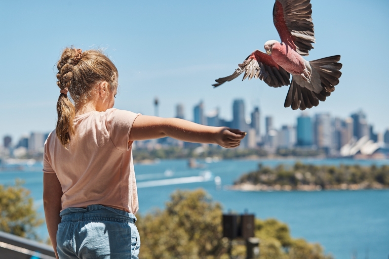 Sydney: Taronga Zoo Ticket met retourveerboot en kabelbaan