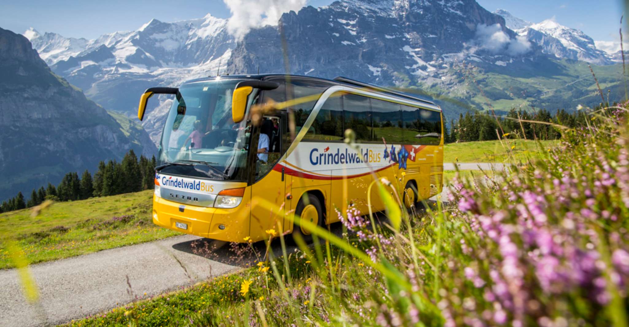 Berner Oberland, 2nd Class Pass for Swiss Travel Pass Holder - Housity