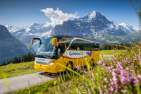 Berner Oberland, pase de segunda clase para titular de pases de viaje suizo - Housity