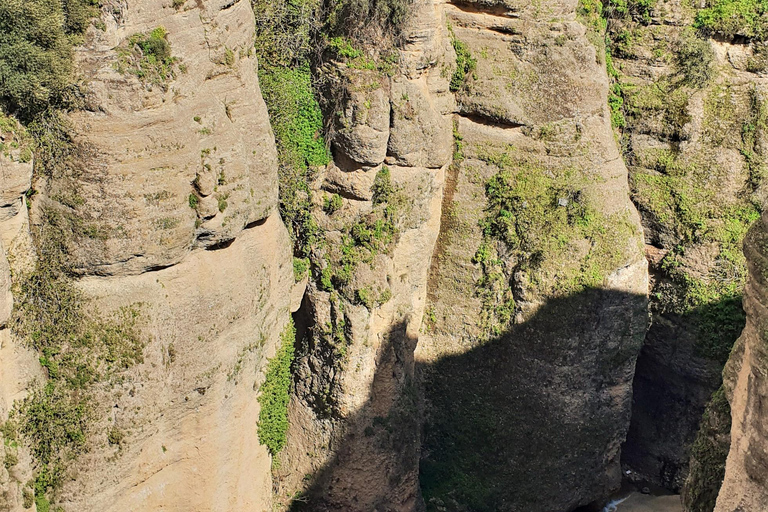 Nerja: Sightseeing Tour to Ronda and Setenil de las Bodegas