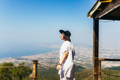 Depuis Naples  excursion d'une demi-journée tout-compris au VésuveDepuis les hôtels de Naples