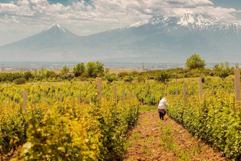From Yerevan: Khor Virap, Noravank & Areni Wine Tour From Yerevan: Shared Khor Virap, Noravank & Areni Wine Tour