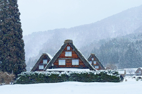 Nagoja: Shirakawa-go, Gujo, Hida Takayama - jednodniowa wycieczka historycznaWycieczka Nagoya Shirakawa-go Hida Takayama Gujo Hachiman