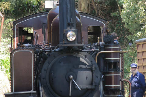 Melbourne: Puffingbilly Train and Penguin Island Day Tour