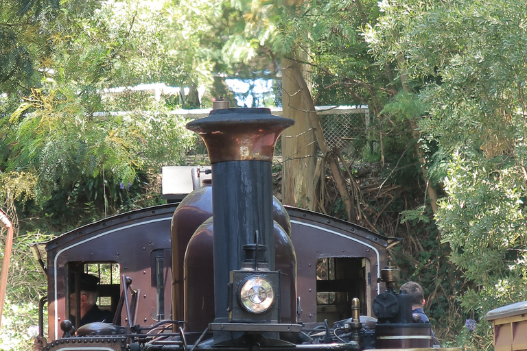 Melbourne: Puffingbilly Train and Penguin Island Day Tour