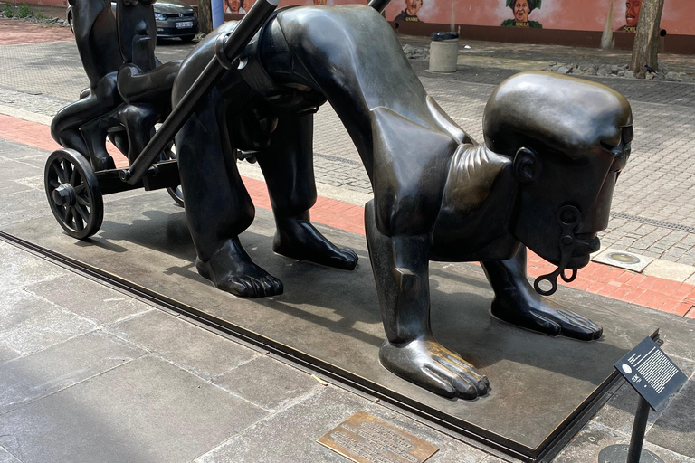 Le tour de Johannesburg, Musée de l&#039;apartheid et sowetoEl tour de la ciudad de Johannesburgo y el municipio de Soweto