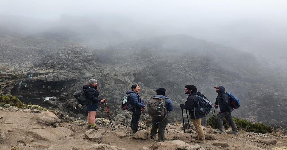 7 Days Kilimanjaro Climbing Machame Route GetYourGuide