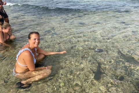 Sal : Lac salé, œil bleu et expérience de requin depuis Santa MariaVisite privée en allemand