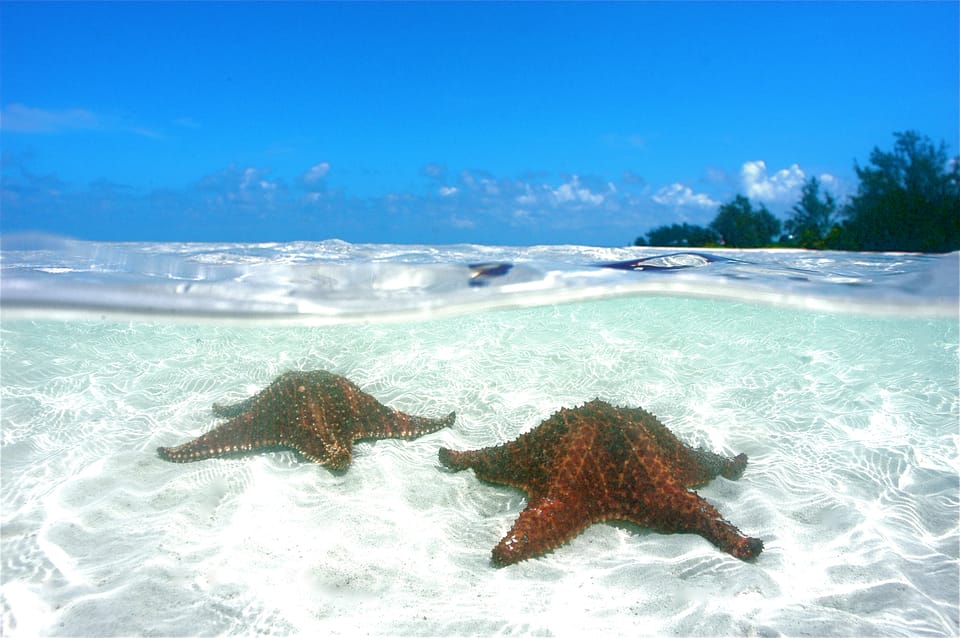 Star fish point, Cayman Islands