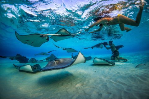 Gran Caimán: Excursión de 3 paradas a Stingray City con snorkel