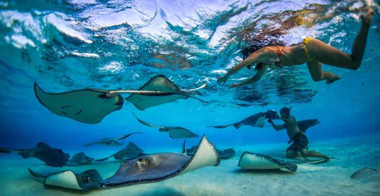 Grand Cayman: 3-Stop Stingray City Tour with Snorkeling