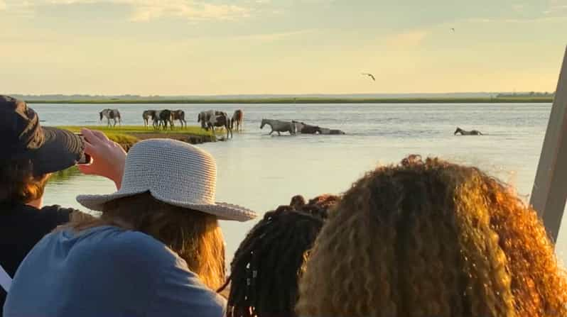 Chincoteague Assateague Island Sunset Boat Cruise Getyourguide 