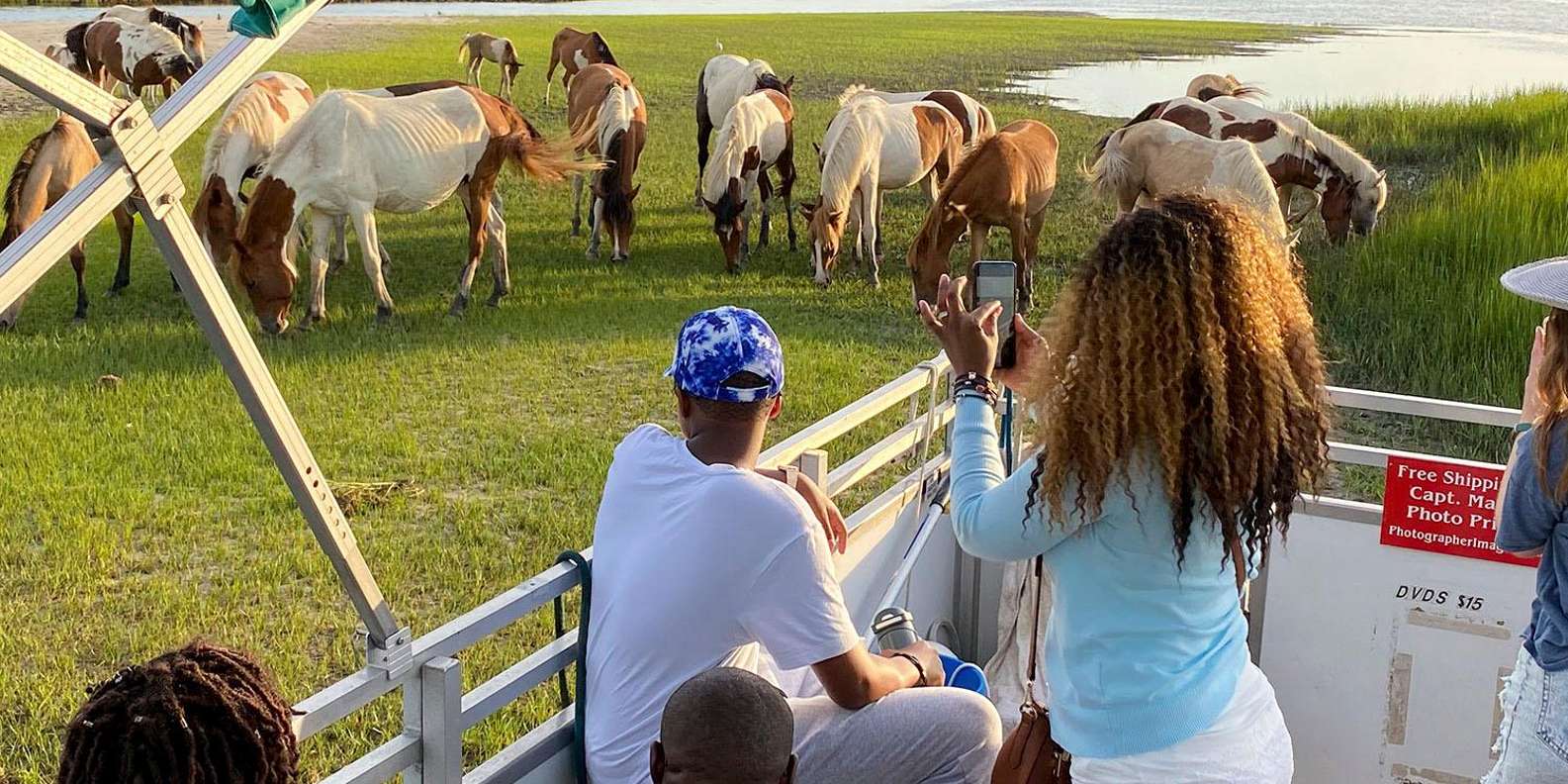 Chincoteague: Assateague Island Sunset Boat Cruise | GetYourGuide, image size:1585x792