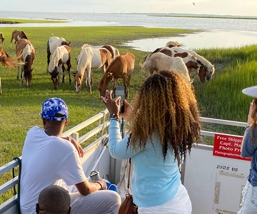 Chincoteague: Assateague Island Sunset Boat Cruise