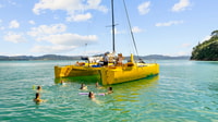 Whitianga, zeiltocht naar Cathedral Cove - Housity