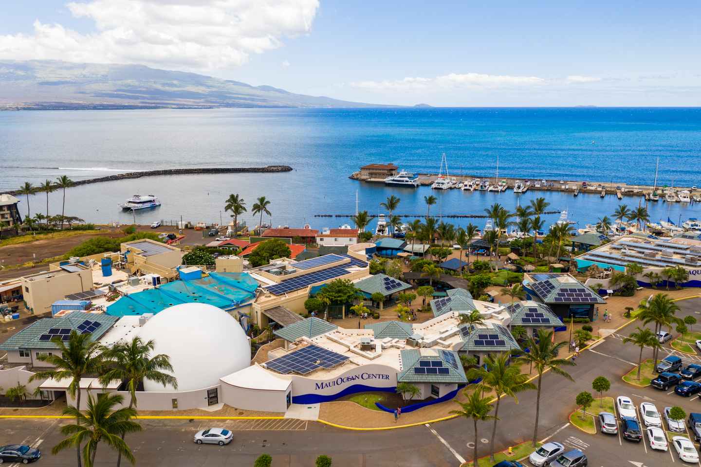 wheelchair accessible things to do in maui | explore underwater life at maui ocean center, maalaea