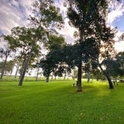 Bundaberg: Family-Friendly Entry Ticket to Splitters Farm
