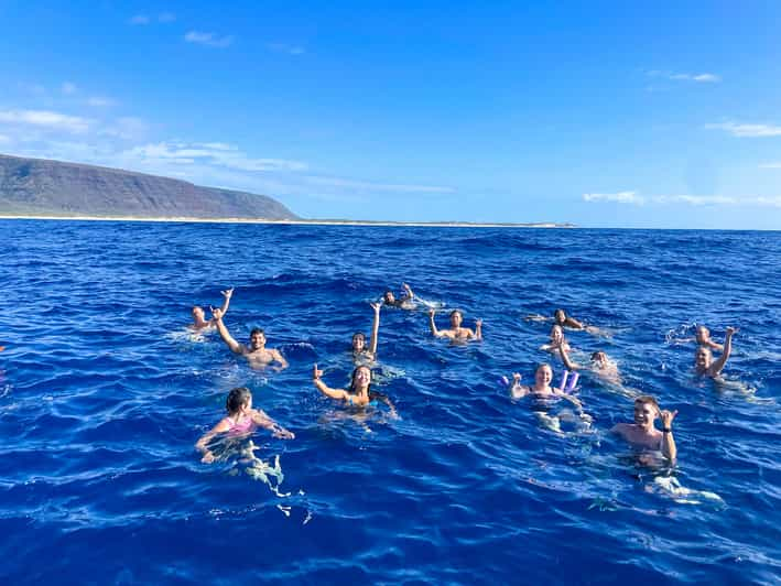 whale watching tour kauai