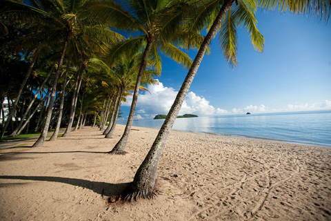 Från Port Douglas: Kuranda Tour med Skyrail &amp; Scenic Train