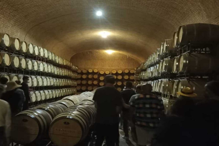Von CDMX: Private Tour nach Peña de Bernal & Freixenet WineryPrivate Tour