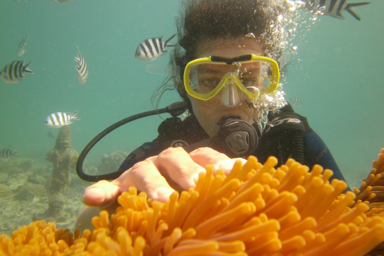 Mauricio: aventura de buceo de 3 horas en la costa esteMauricio: aventura de buceo de 3 horas en la costa oeste