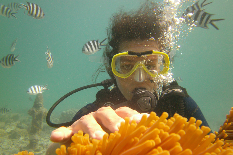 Mauricio: aventura de buceo de 3 horas en la costa esteMauricio: aventura de buceo de 3 horas en la costa oeste