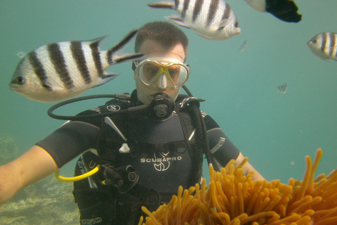 Mauricio: aventura de buceo de 3 horas en la costa esteMauricio: aventura de buceo de 3 horas en la costa oeste