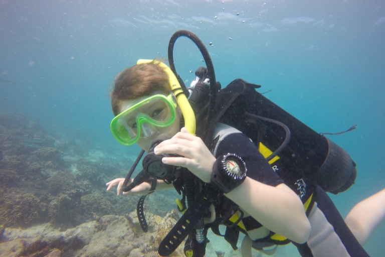 Maurice: aventure de plongée sous-marine de 3 heures sur la côte estMaurice: aventure de plongée de 3 heures sur la côte ouest
