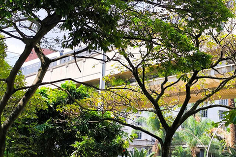 Medellín Through Time – City Sightseeing Tour | Subway, Metrocable, and Historic Center