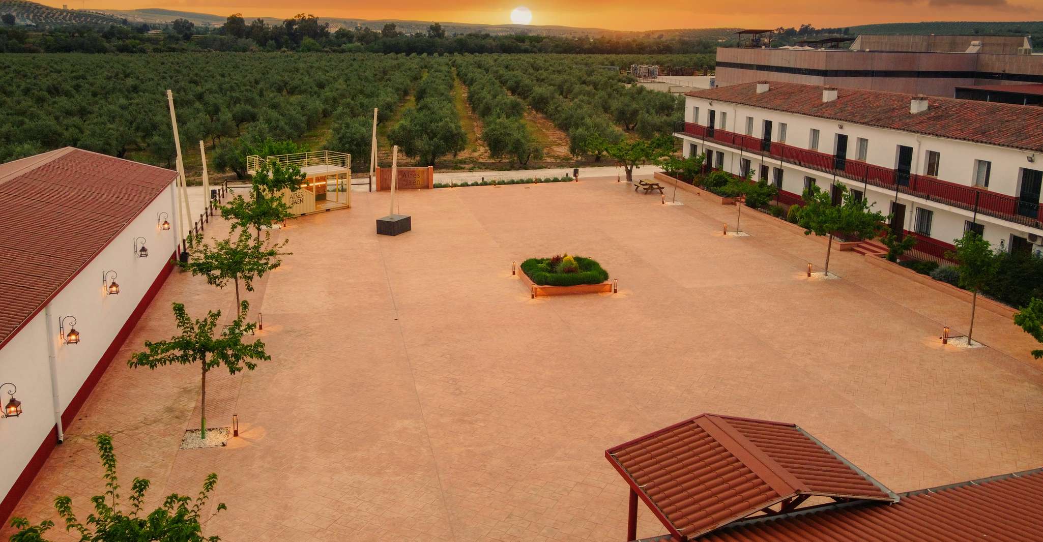 Jaen, Olive oil tour with the 5 senses, grove and tasing - Housity