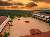 Jaen, Olive Oil Tour avec les 5 sens, Grove et Tasing - Housity