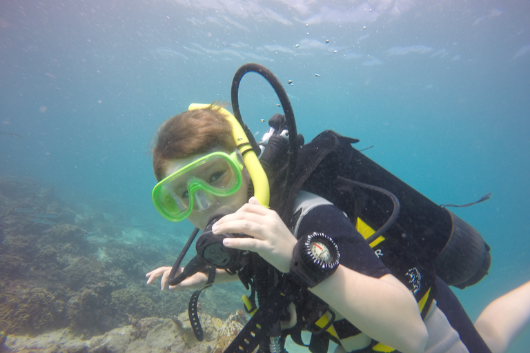 Blue Bay: Discover Scuba Diving