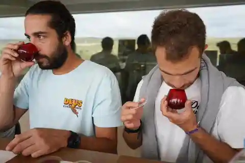 Jaén: Aula de Degustação de Azeite Aires de Jaén