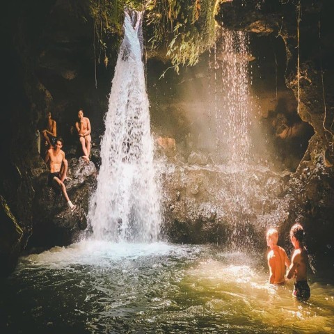 Visit Tetebatu Rice Fields, Waterfall, & Monkey Forest Day Tour in Lombok